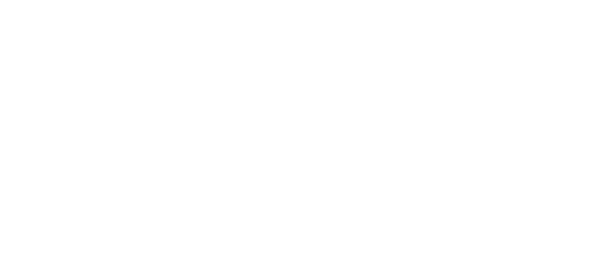 IDEX Pro
